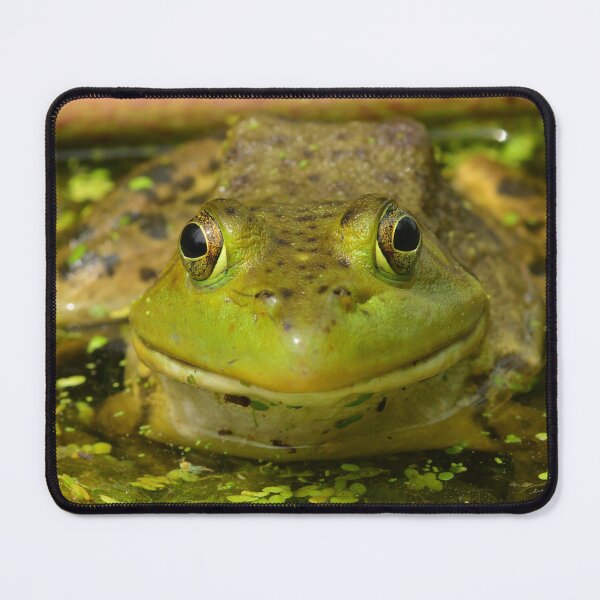 Item preview, Happy Frog designed and sold by WWbugsandslugs.