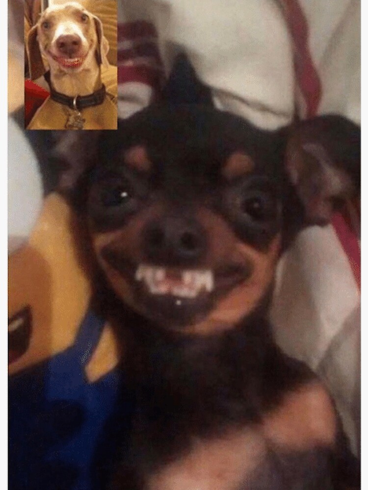 facetime meme