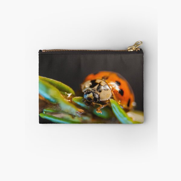 Item preview, Ladybug designed and sold by Wizi-Top.