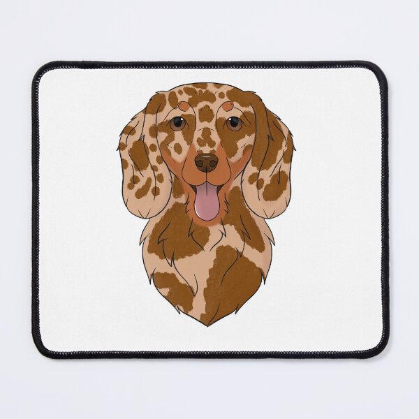 Item preview, Dachshund longhair - red dapple with tan designed and sold by Cynthiaetal.