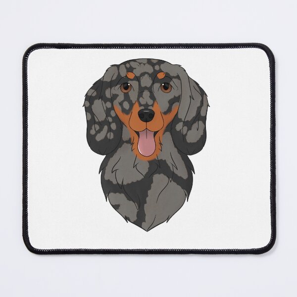 Item preview, Dachshund longhair - blue dapple with tan designed and sold by Cynthiaetal.