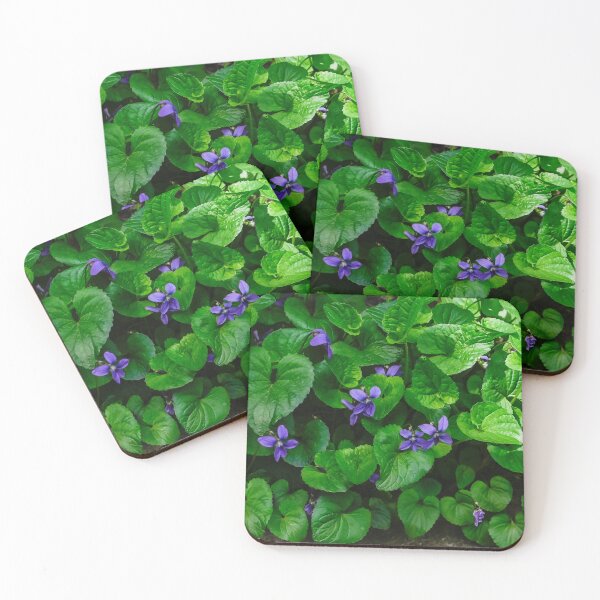 Item preview, Blue Violets returned designed and sold by SRosuphotos.