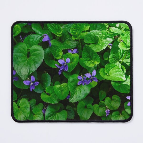 Item preview, Blue Violets returned designed and sold by SRosuphotos.