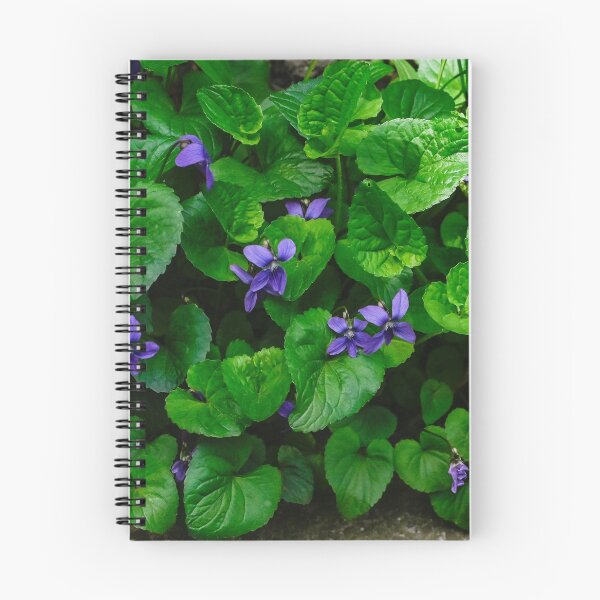 Item preview, Blue Violets returned designed and sold by SRosuphotos.