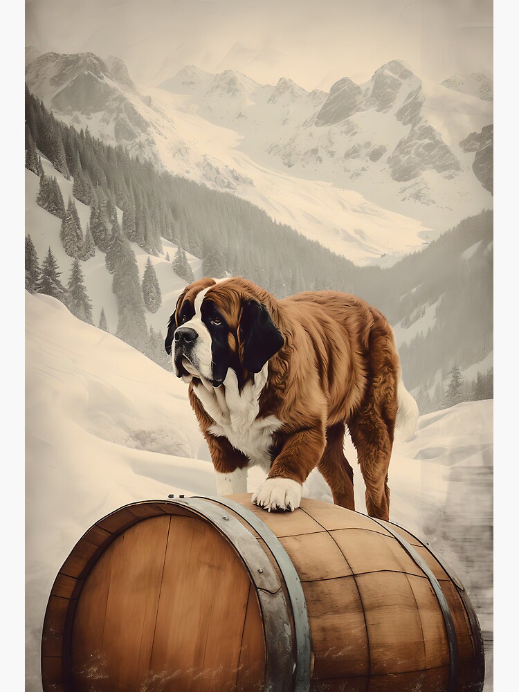 Saint bernard dog shops barrel