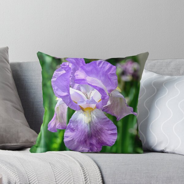 Item preview, Iris barbudo en flor designed and sold by SRosuphotos.