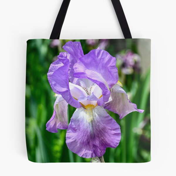 Item preview, Bearded Iris in bloom designed and sold by SRosuphotos.