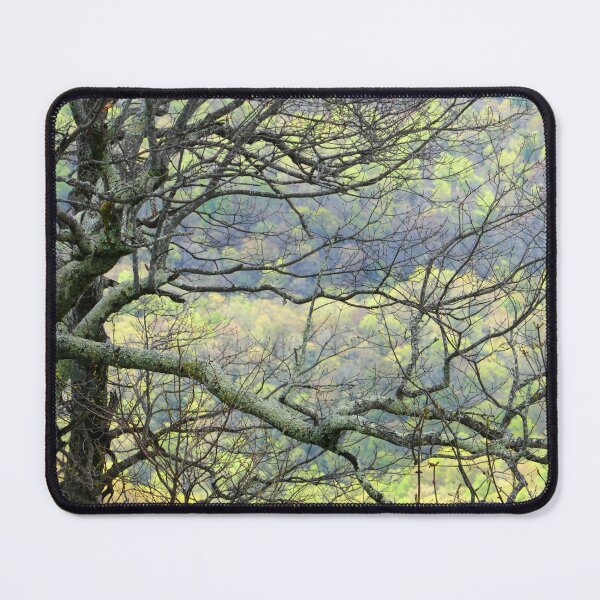Item preview, Spring Through Winter Branches designed and sold by Elizabeth "Tibby" Steedly.