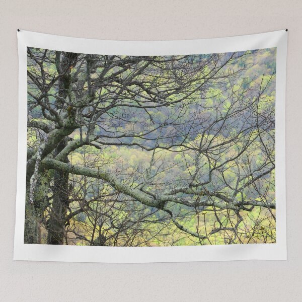 Item preview, Spring Through Winter Branches designed and sold by Elizabeth "Tibby" Steedly.