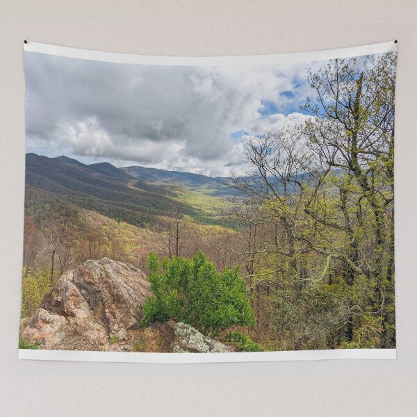 Item preview, Spring in the Valley designed and sold by Elizabeth "Tibby" Steedly.