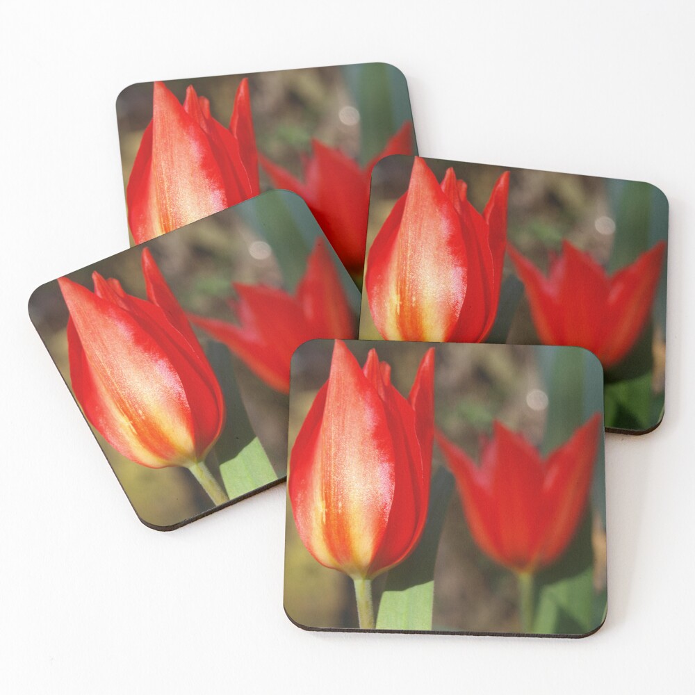 Item preview, Coasters (Set of 4) designed and sold by RJBPhotoDesign.