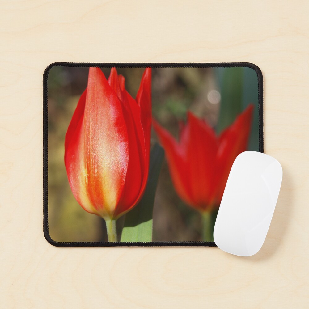 Item preview, Mouse Pad designed and sold by RJBPhotoDesign.