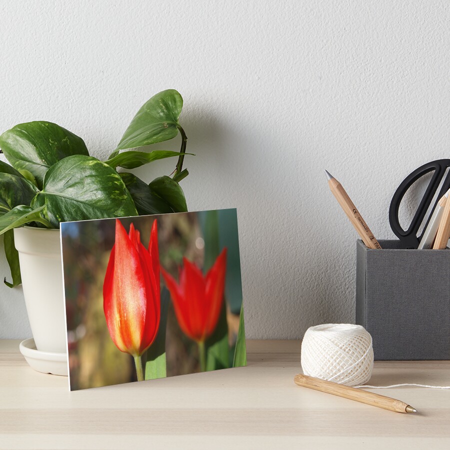 Item preview, Art Board Print designed and sold by RJBPhotoDesign.