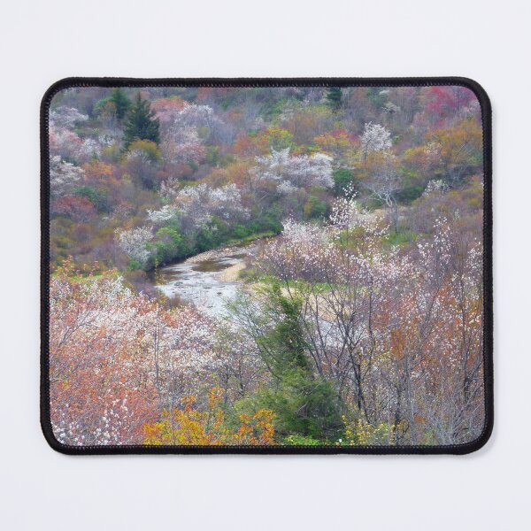 Item preview, Blue Ridge Spring designed and sold by Elizabeth "Tibby" Steedly.