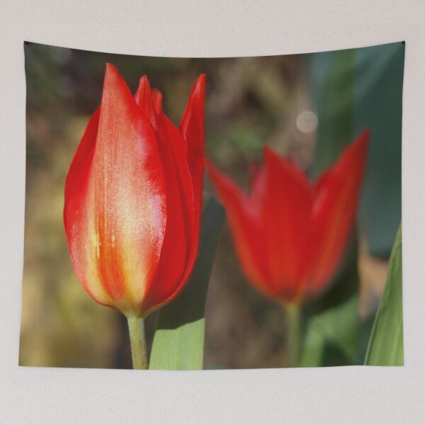 Item preview, Two Red Tulips designed and sold by RJBPhotoDesign.