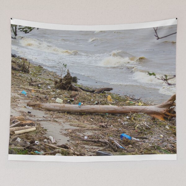 Aperçu de l'œuvre Arbre et autres débris sur une plage après une tempête créée et vendue par Shizenkai.