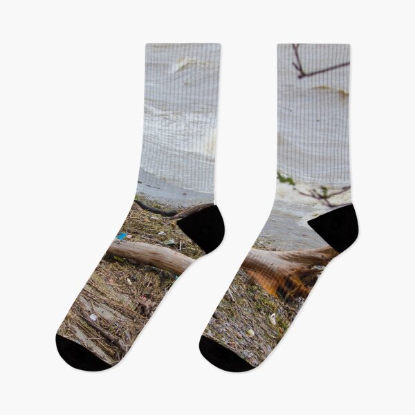 Item preview, Tree and other debris on a beach after a storm designed and sold by Shizenkai.
