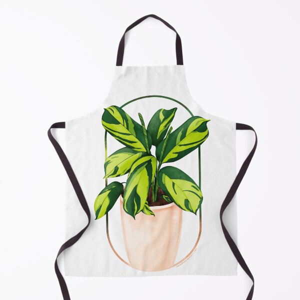 Item preview, Ctenanthe Lubbersiana designed and sold by Abundance Aesthetic.