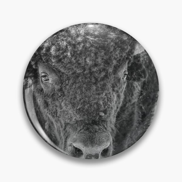 Item preview, Bison Black And White photograph designed and sold by art64.
