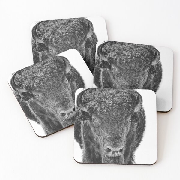 Item preview, Bison Black And White photograph designed and sold by art64.