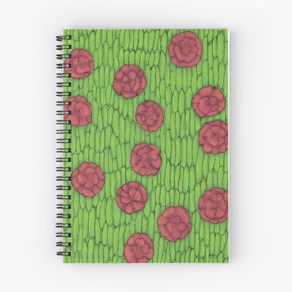 Item preview, Flypaper: Venus Flytrap Cells 2 designed and sold by Tippitiwichet.