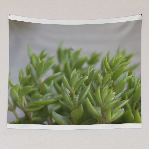 Item preview, Green leaves sprouting  designed and sold by Shizenkai.