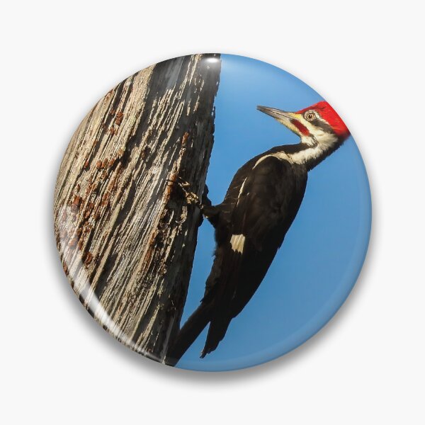 Item preview, Pileated Woodpecker 1 designed and sold by Jeffrey Mask.