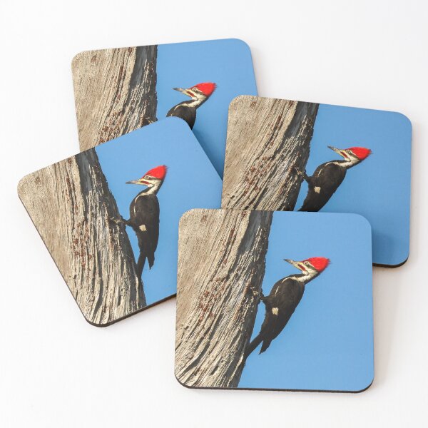 Item preview, Pileated Woodpecker 1 designed and sold by Jeffrey Mask.