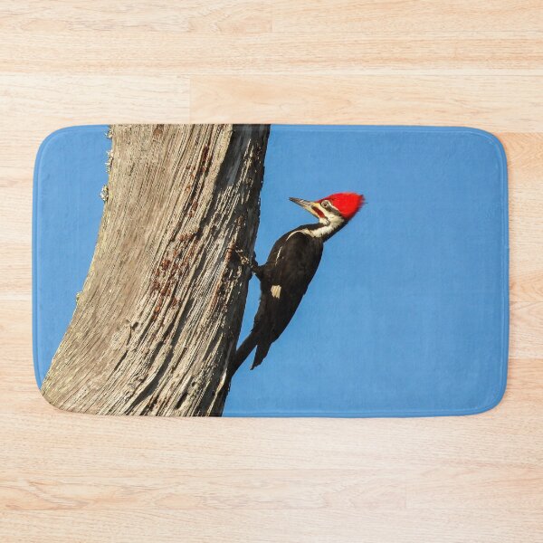 Item preview, Pileated Woodpecker 1 designed and sold by Jeffrey Mask.
