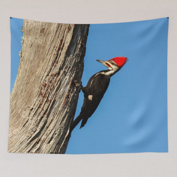 Item preview, Pileated Woodpecker 1 designed and sold by Jeffrey Mask.