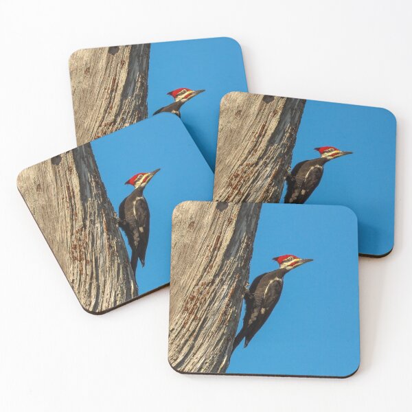 Item preview, Pileated Woodpecker 2 designed and sold by Jeffrey Mask.