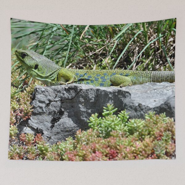 Item preview, The Cirque de Navacelles in France - A spectacular landscape sculpted by nature designed and sold by franck380.