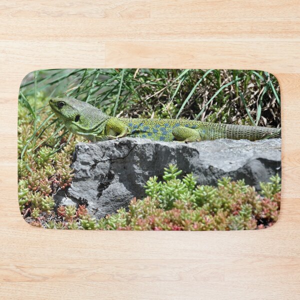 Item preview, The Cirque de Navacelles in France - A spectacular landscape sculpted by nature designed and sold by franck380.