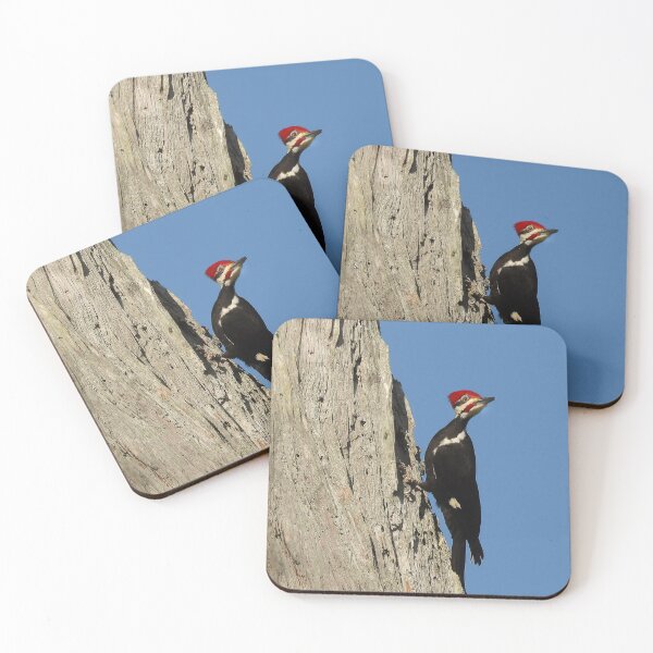 Item preview, Pileated Woodpecker 3 designed and sold by Jeffrey Mask.