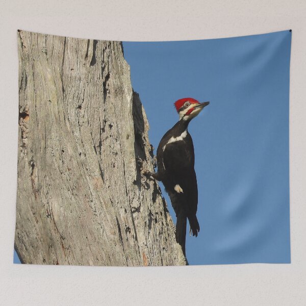 Item preview, Pileated Woodpecker 3 designed and sold by Jeffrey Mask.