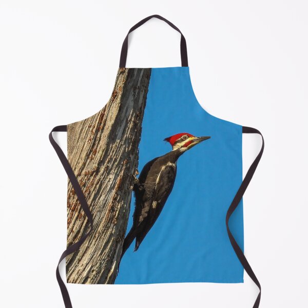 Item preview, Pileated Woodpecker 2 designed and sold by Jeffrey Mask.