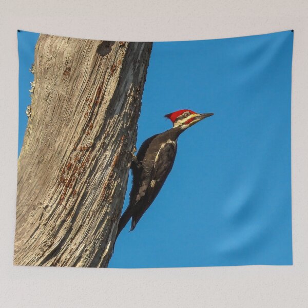 Item preview, Pileated Woodpecker 2 designed and sold by Jeffrey Mask.