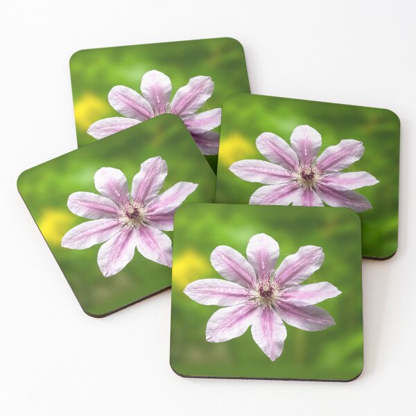 Item preview, Clematis Nelly Moser designed and sold by annasofia.