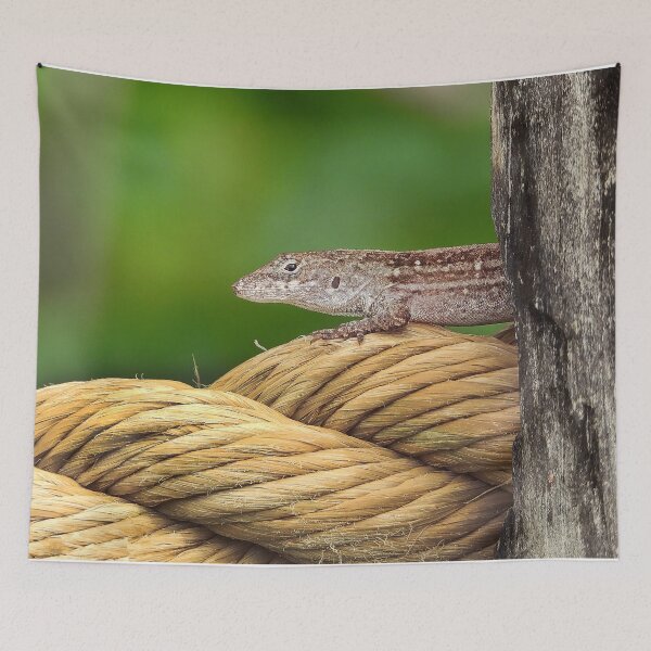 Item preview, Anole 1 designed and sold by Jeffrey Mask.