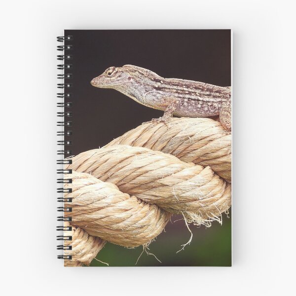 Item preview, Anole 2 designed and sold by Jeffrey Mask.