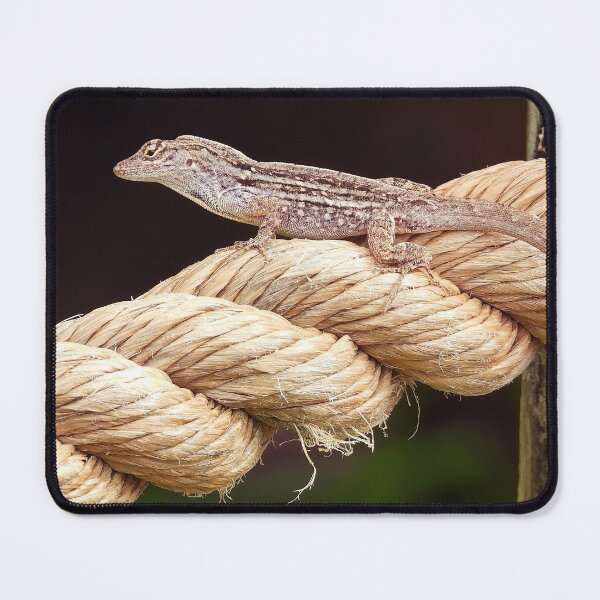 Item preview, Anole 2 designed and sold by Jeffrey Mask.