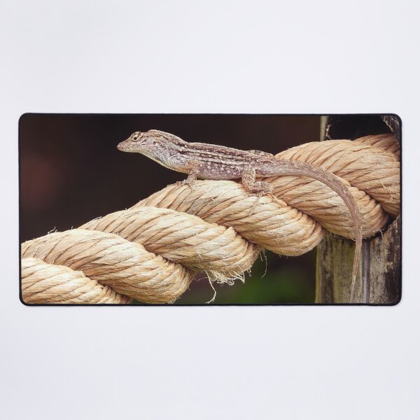 Item preview, Anole 2 designed and sold by Jeffrey Mask.