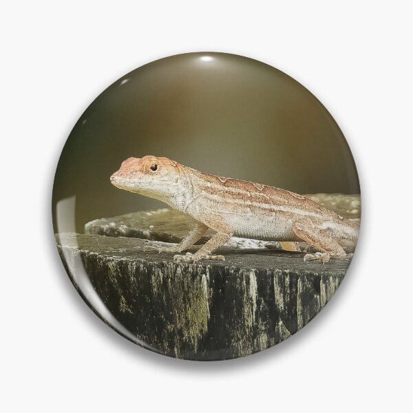 Item preview, Anole 3 designed and sold by Jeffrey Mask.