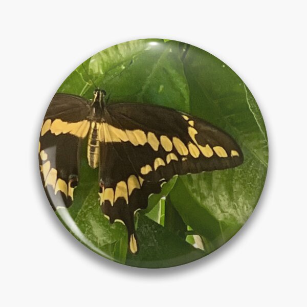 Item preview, Fly Away designed and sold by Nketchelos.