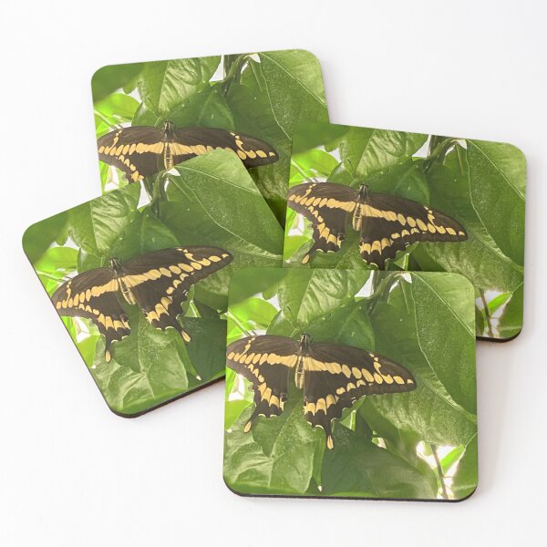 Item preview, Fly Away designed and sold by Nketchelos.