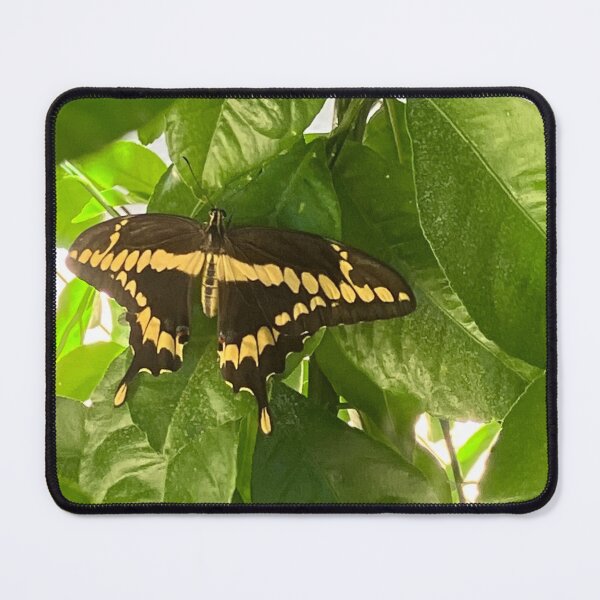 Item preview, Fly Away designed and sold by Nketchelos.