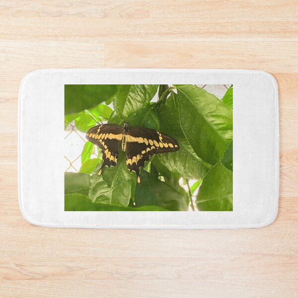 Item preview, Fly Away designed and sold by Nketchelos.