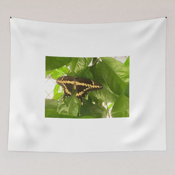 Item preview, Fly Away designed and sold by Nketchelos.