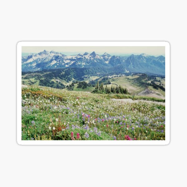 Item preview, Wildflower Meadow  designed and sold by georgecoxx.