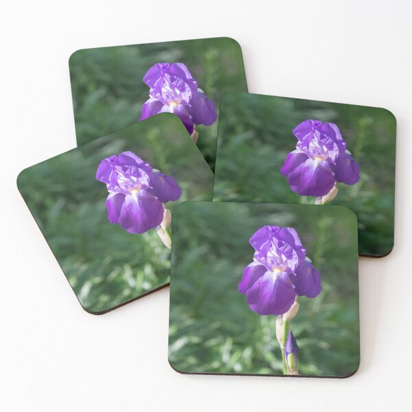 Item preview, Single Amethyst Purple German Iris Bloom designed and sold by Georgia Mizuleva.